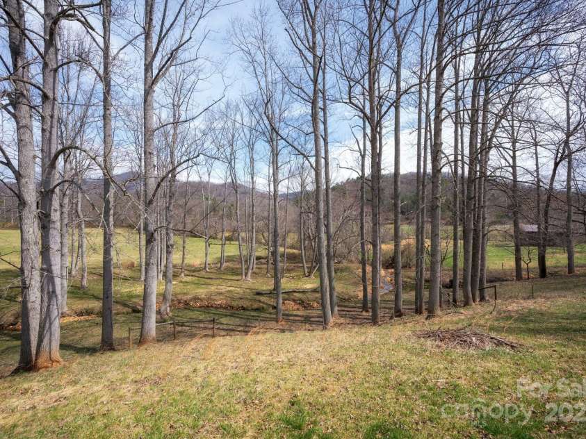 155 Parker Road, Asheville, NC 28805.  MLS# CAR4233111, YatesRealty ID 6104. Large Yard with Views