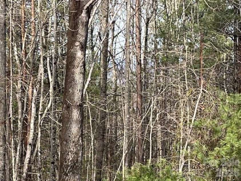 3645 Blue Door School Road, Lenoir, NC 28645.  MLS# CAR4347191, YatesRealty ID 6106. 