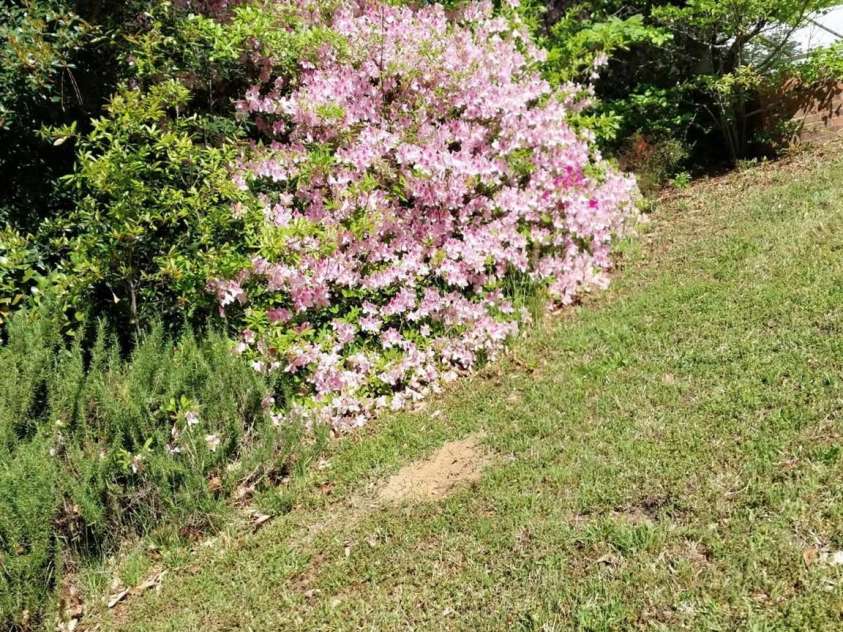 5987 Charlotte Highway, Lancaster, SC 29720.  MLS# CAR4308320, YatesRealty ID 617. 