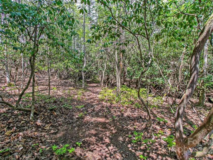 1640 Eagle Lake Drive, Brevard, NC 28712.  MLS# CAR4133745, YatesRealty ID 6174. 