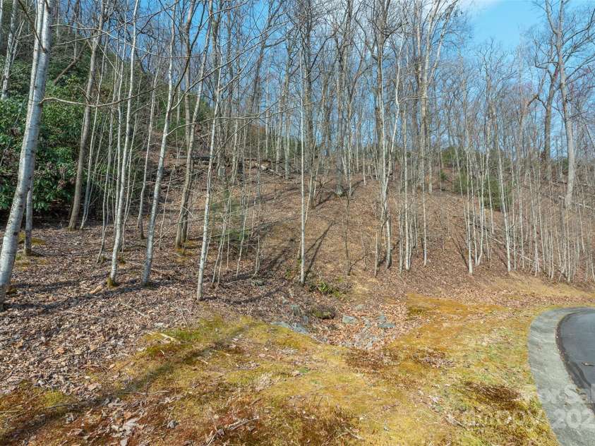 0 Shining Rock Path, Horse Shoe, NC 28742.  MLS# CAR4243666, YatesRealty ID 6177. 