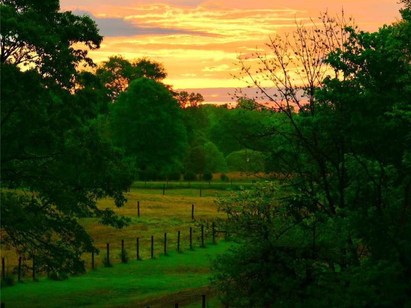 660 Scoggins Road, Rutherfordton, NC 28139.  MLS# CAR4221300, YatesRealty ID 6178. Sunset~~