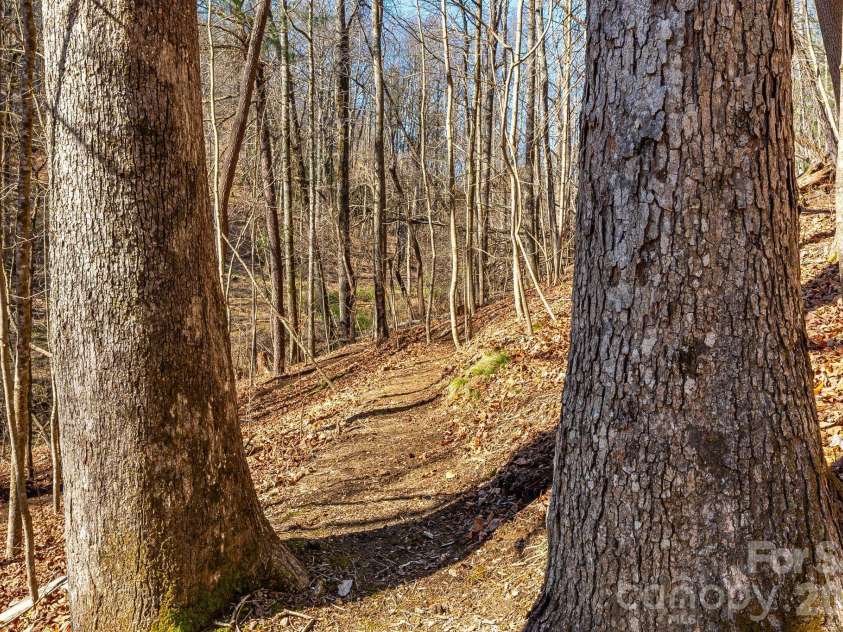 348 Big Raven Lane, Saluda, NC 28773.  MLS# CAR4356572, YatesRealty ID 6185. 