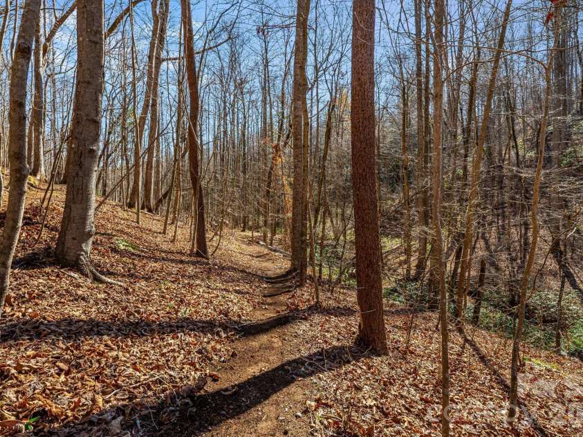 348 Big Raven Lane, Saluda, NC 28773.  MLS# CAR4356572, YatesRealty ID 6185. 