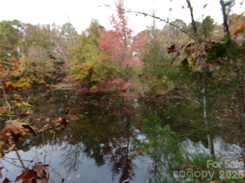 627 Bolick Road, Fort Mill, SC 29707.  MLS# CAR4403407, YatesRealty ID 6192. Ducks