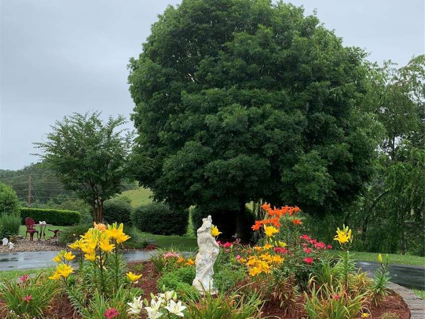 122 Windy Hills Lane, Leicester, NC 28748.  MLS# CAR4240865, YatesRealty ID 6195. Gardens