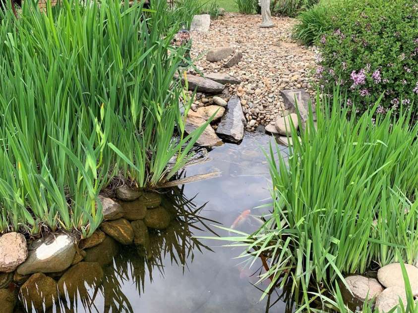 122 Windy Hills Lane, Leicester, NC 28748.  MLS# CAR4240865, YatesRealty ID 6195. Koi Pond