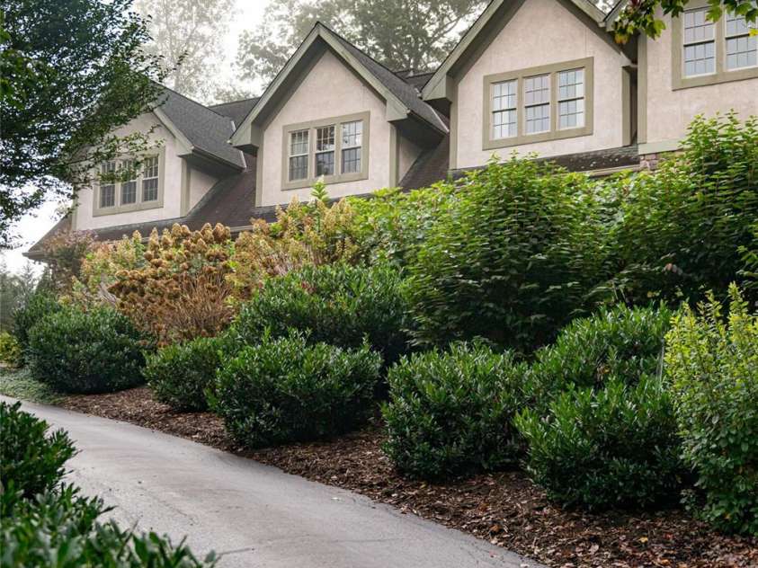 53 Cedar Hill Drive, Asheville, NC 28803.  MLS# CAR4301741, YatesRealty ID 62. 