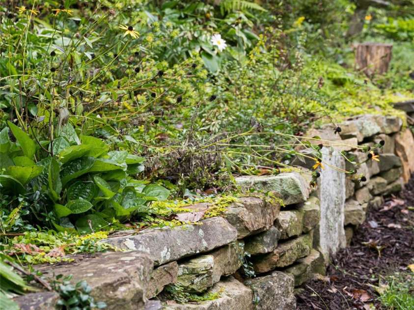 53 Cedar Hill Drive, Asheville, NC 28803.  MLS# CAR4301741, YatesRealty ID 62. Gardens