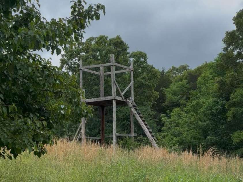 269 Johnson Dairy Road, Mooresville, NC 28115.  MLS# CAR4260297, YatesRealty ID 6214. Hunting Tower