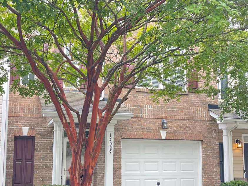 14022 Drake Watch Lane, Charlotte, NC 28262.  MLS# CAR4244290, YatesRealty ID 6233. 