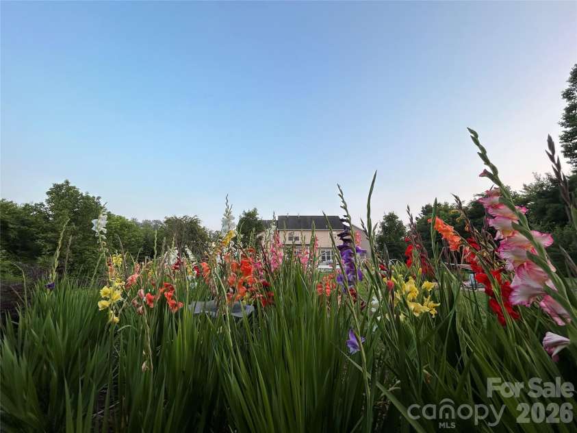53 Stone River Drive, Asheville, NC 28804.  MLS# CAR4342463, YatesRealty ID 6239. Spring time at 53 Stone River