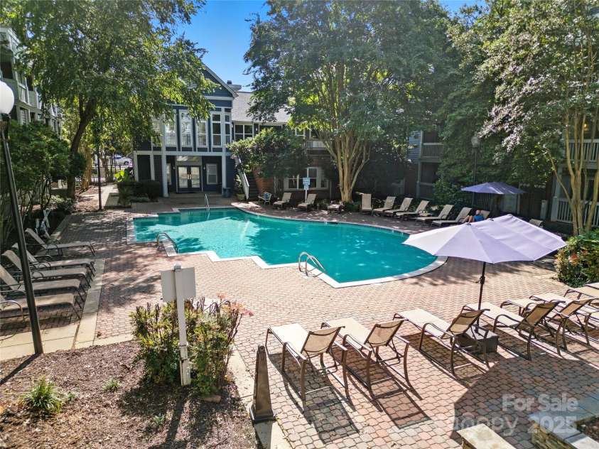 509 Graham Street, Charlotte, NC 28202.  MLS# CAR4308972, YatesRealty ID 624. Saltwater pool