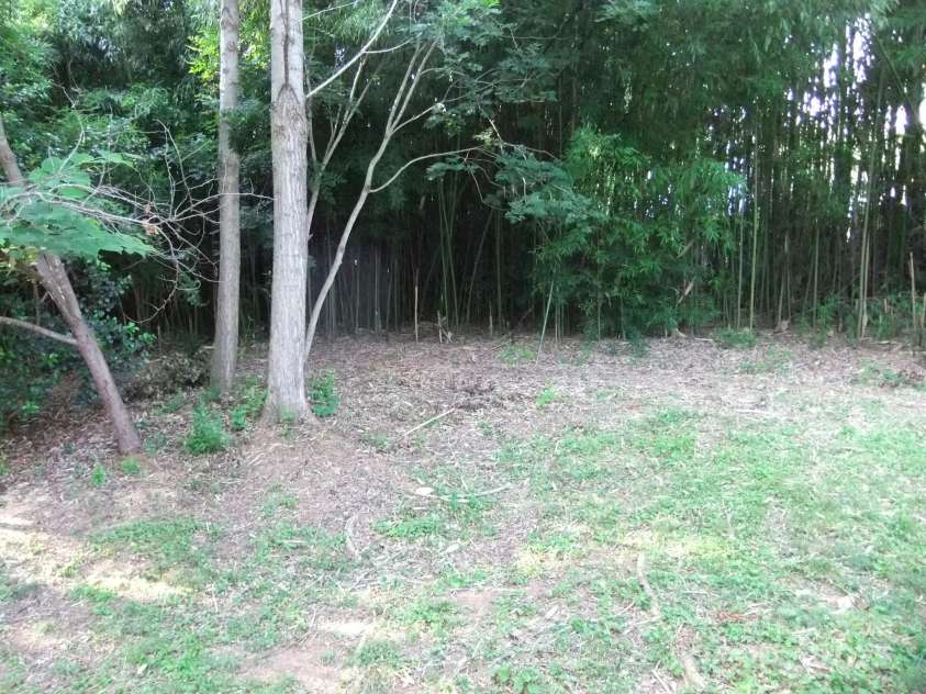 1629 and 1631 Harris Road, Fort Mill, SC 29708.  MLS# CAR4276684, YatesRealty ID 626. 1631 Harris Front Yard