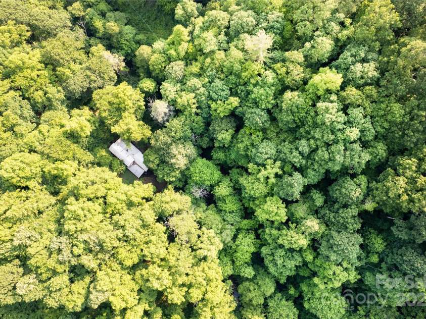 1180 Wolf Branch Road, Marshall, NC 28753.  MLS# CAR4124335, YatesRealty ID 629. 