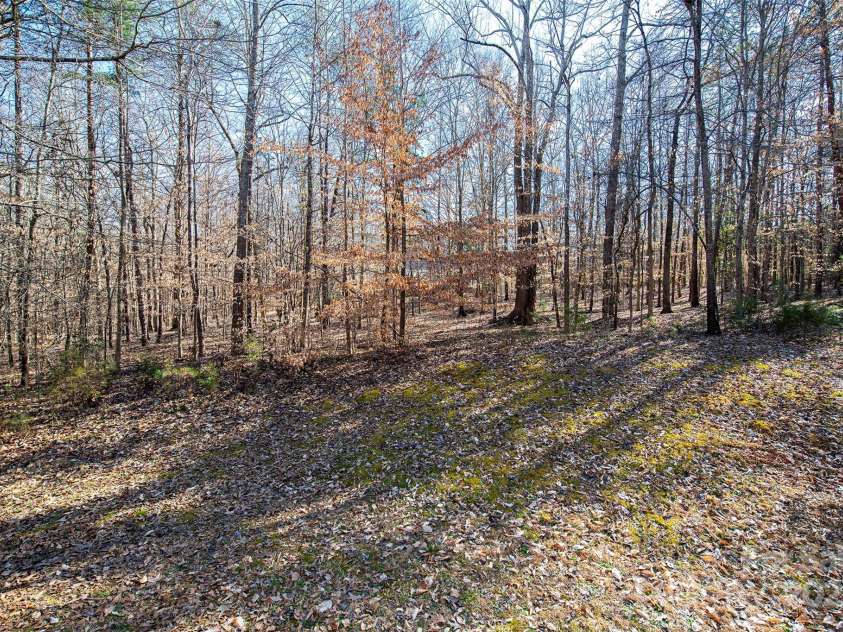 237 Creekstone Lane, York, SC 29745.  MLS# CAR4227284, YatesRealty ID 6301. View of backyard