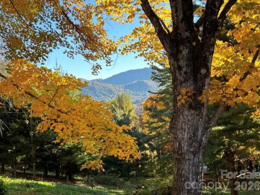 30 Grove Park, Waynesville, NC 28786.  MLS# CAR4358777, YatesRealty ID 6322. 