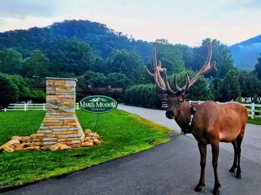 21 Kennerly Cove, Maggie Valley, NC 28751.  MLS# CAR4150956, YatesRealty ID 6329. 