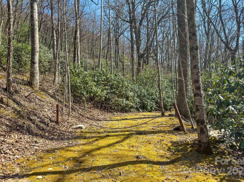 30 Red Oak Forest Road, Fairview, NC 28730.  MLS# CAR4247344, YatesRealty ID 6381. 