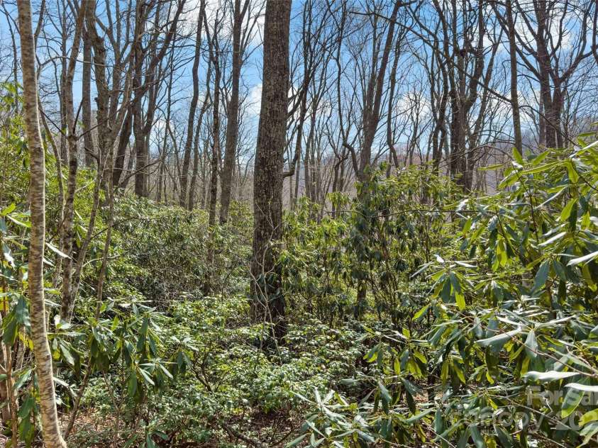 30 Red Oak Forest Road, Fairview, NC 28730.  MLS# CAR4247344, YatesRealty ID 6381. 