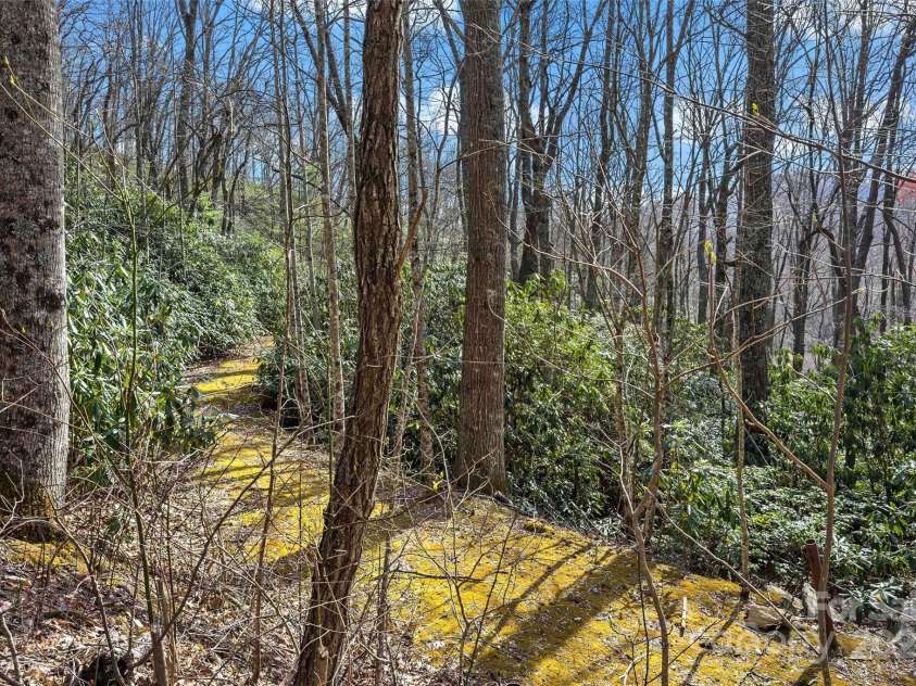 30 Red Oak Forest Road, Fairview, NC 28730.  MLS# CAR4247344, YatesRealty ID 6381. 