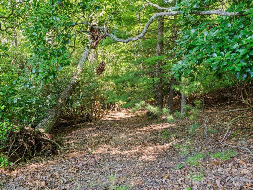 1909 Kentwood Lane, Pisgah Forest, NC 28768.  MLS# CAR4362443, YatesRealty ID 6533. 