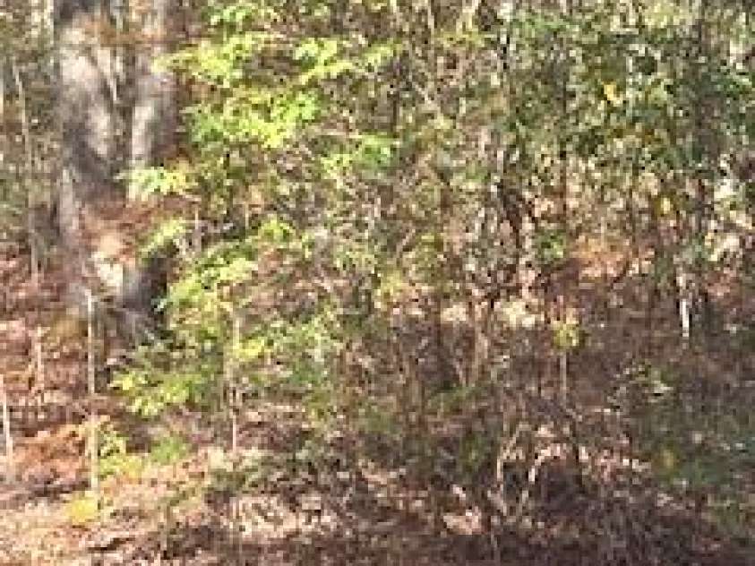 667 Pinewood Knoll Drive, Hendersonville, NC 28739.  MLS# CAR4319035, YatesRealty ID 654. 