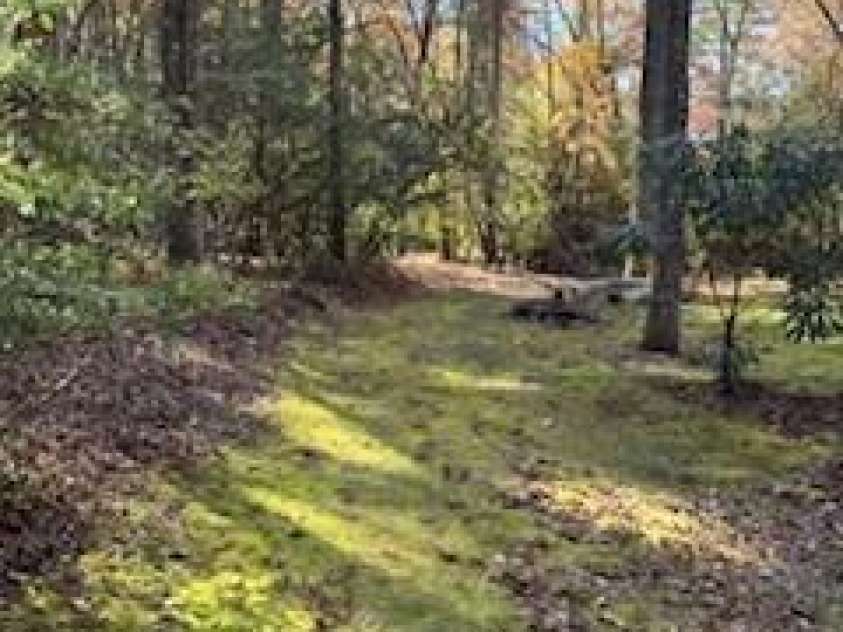 667 Pinewood Knoll Drive, Hendersonville, NC 28739.  MLS# CAR4319035, YatesRealty ID 654. 