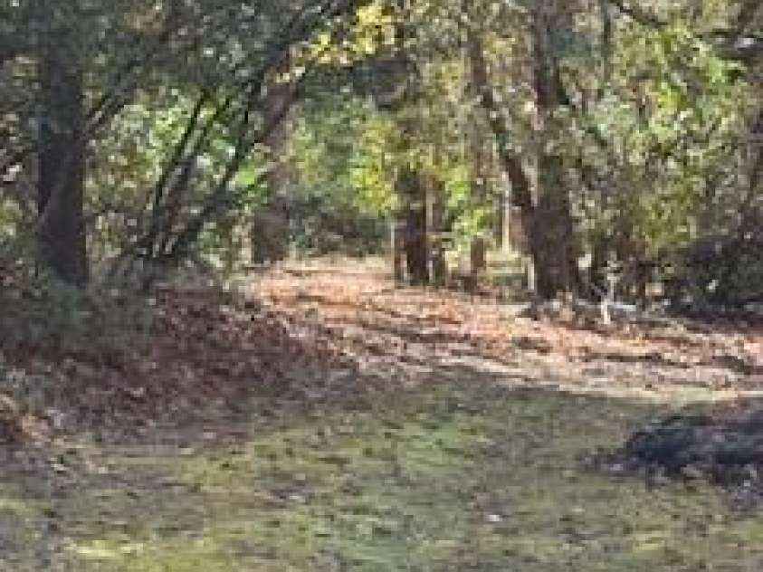 667 Pinewood Knoll Drive, Hendersonville, NC 28739.  MLS# CAR4319035, YatesRealty ID 654. 