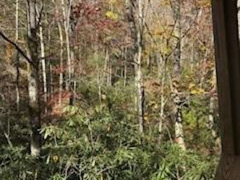 667 Pinewood Knoll Drive, Hendersonville, NC 28739.  MLS# CAR4319035, YatesRealty ID 654. 