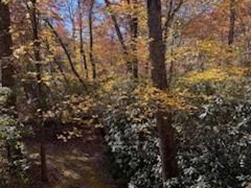 667 Pinewood Knoll Drive, Hendersonville, NC 28739.  MLS# CAR4319035, YatesRealty ID 654. 