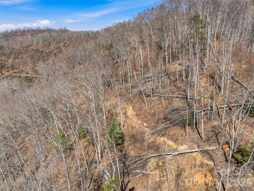 182 Whittemore Branch Road, Barnardsville, NC 28709.  MLS# CAR4361564, YatesRealty ID 6553. 