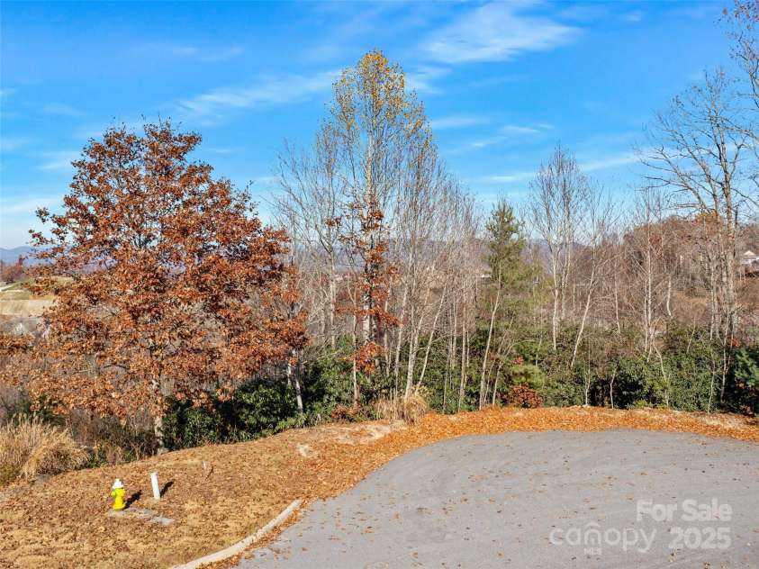 99999 Bay Laurel Lane, Hendersonville, NC 28791.  MLS# CAR4206754, YatesRealty ID 660. 