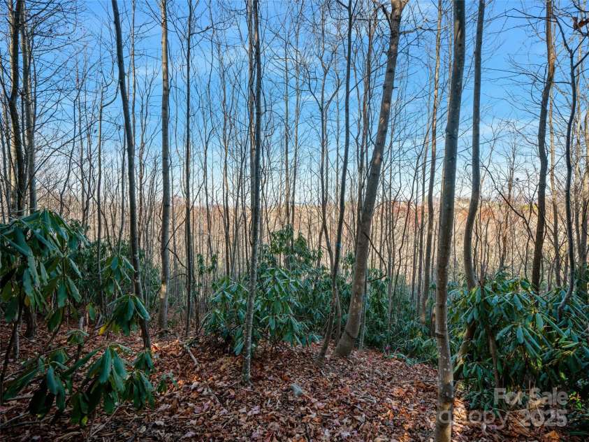99999 Bay Laurel Lane, Hendersonville, NC 28791.  MLS# CAR4206754, YatesRealty ID 660. 