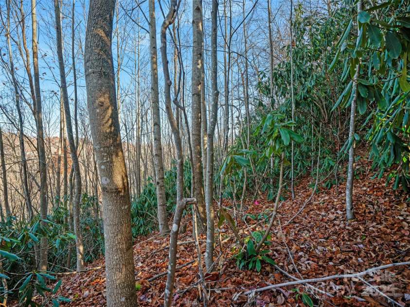 99999 Bay Laurel Lane, Hendersonville, NC 28791.  MLS# CAR4206754, YatesRealty ID 660. 