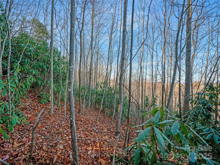 99999 Bay Laurel Lane, Hendersonville, NC 28791.  MLS# CAR4206754, YatesRealty ID 660. 