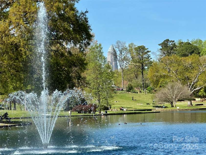 1314 Cortland Road, Charlotte, NC 28209.  MLS# CAR4318253, YatesRealty ID 662. Lake at Freedom Park along the Cross Charlotte Trail that you access near home