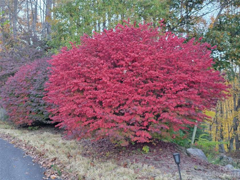 144 Ruffed Grouse Lane, Waynesville, NC 28786.  MLS# CAR4042474, YatesRealty ID 663. 