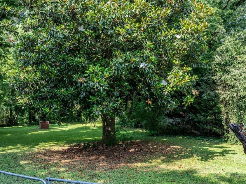 313 Main Street, Morganton, NC 28655.  MLS# CAR4275502, YatesRealty ID 663. Nice back yard with great mature trees.