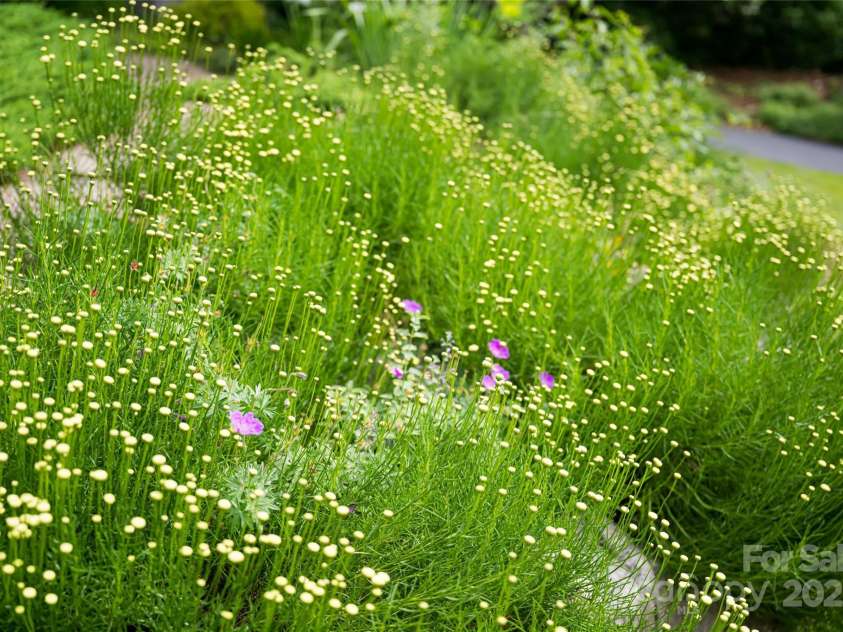 7 White Palmer Court, Biltmore Lake, NC 28715.  MLS# CAR4267190, YatesRealty ID 6668. 