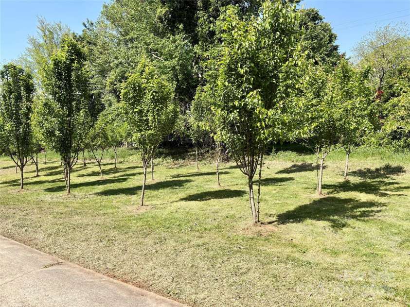 2724 Peachtree Road, Statesville, NC 28625.  MLS# CAR4248826, YatesRealty ID 6676. Peach Orchard that bears tons of peaches!