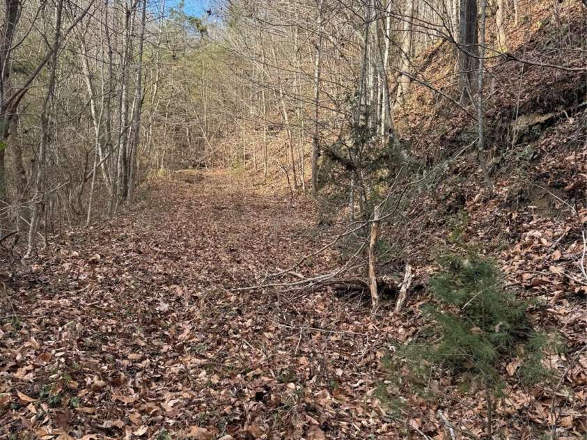 3066 Hartley Kincaid Place, Lenoir, NC 28645.  MLS# CAR4320707, YatesRealty ID 6683. 