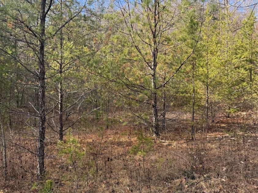 3066 Hartley Kincaid Place, Lenoir, NC 28645.  MLS# CAR4320707, YatesRealty ID 6683. 