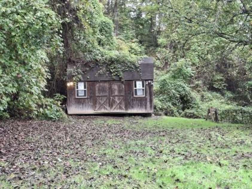 29 Toad Drive, Asheville, NC 28806.  MLS# CAR4289081, YatesRealty ID 6726. Backyard