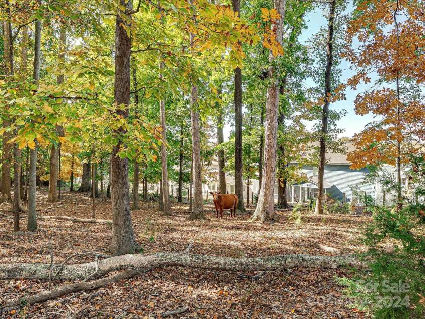 111 Bobby Lee Lane, Mooresville, NC 28115.  MLS# CAR4127085, YatesRealty ID 6728. The Neighbors!