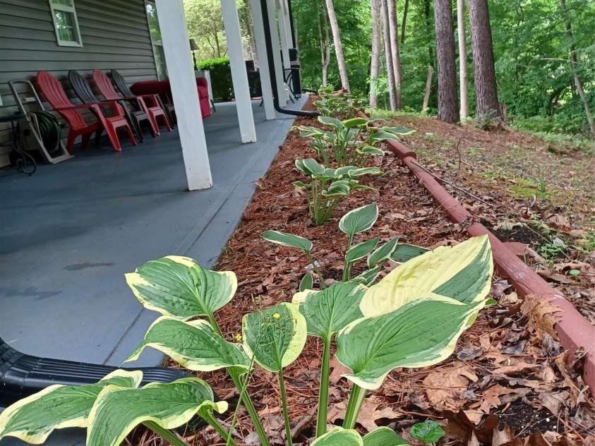 3645 Lake Bluff Drive, Sherrills Ford, NC 28763.  MLS# CAR4410321, YatesRealty ID 673. Lower patio
