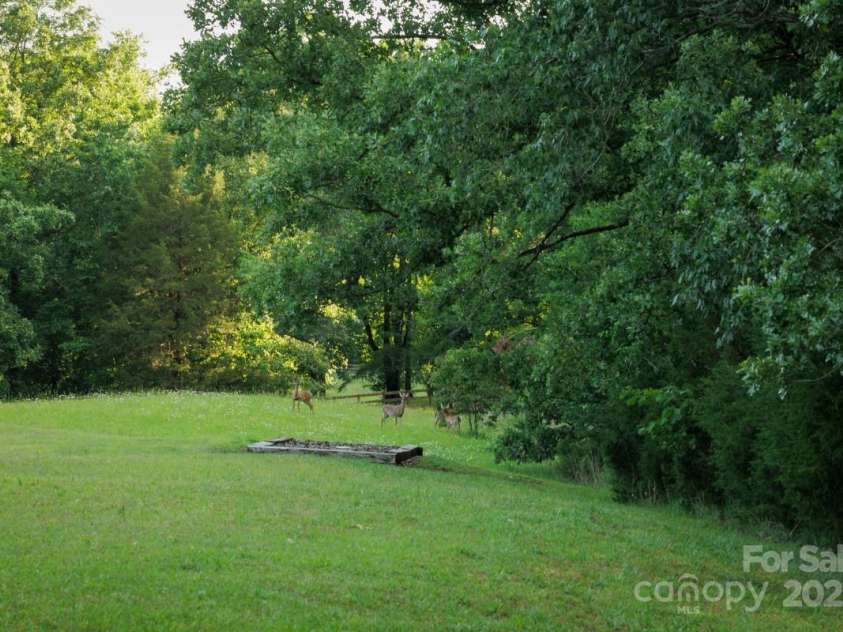 4816 Zion Church Road, Concord, NC 28025.  MLS# CAR4219241, YatesRealty ID 674. Enjoy the wildlife that call this property home.