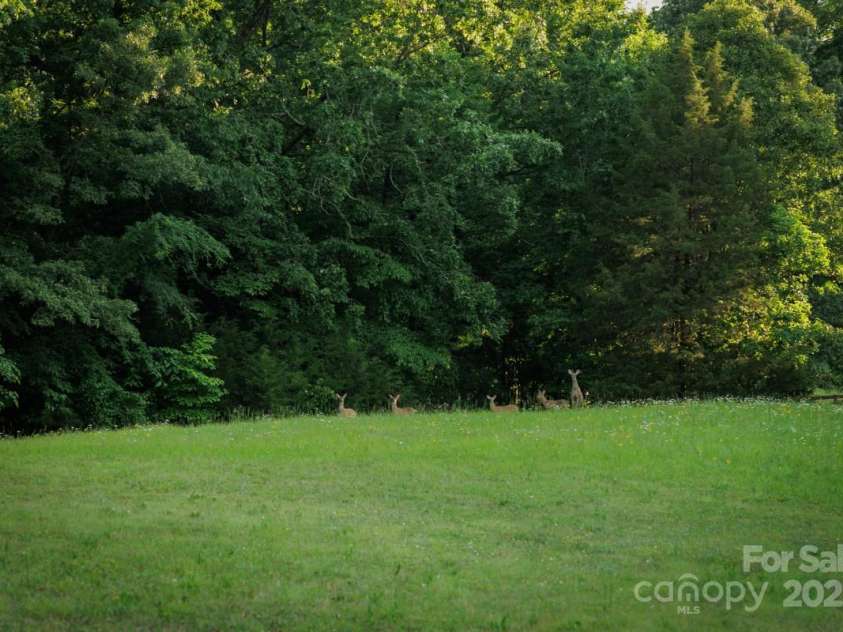 4816 Zion Church Road, Concord, NC 28025.  MLS# CAR4219241, YatesRealty ID 674. Zoom in, how many deer do you see?