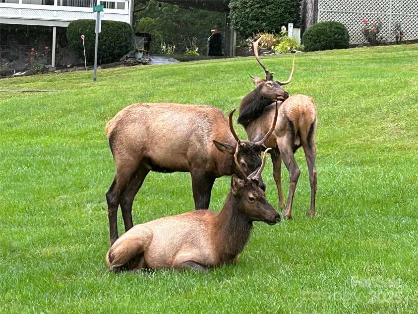 10 Onyx Lane, Maggie Valley, NC 28751.  MLS# CAR4208739, YatesRealty ID 6745. 