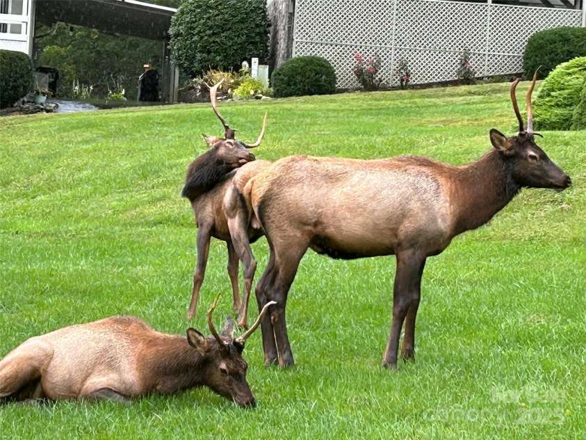 10 Onyx Lane, Maggie Valley, NC 28751.  MLS# CAR4208739, YatesRealty ID 6745. 
